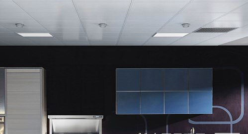 1517473177145576.png 11-1.png